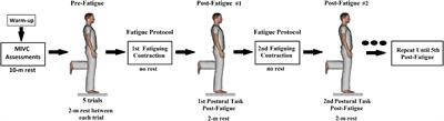 Effects of Fatigue on Postural Sway and Electromyography Modulation in Young Expert Acrobatic Gymnasts and Healthy Non-trained Controls During Unipedal Stance